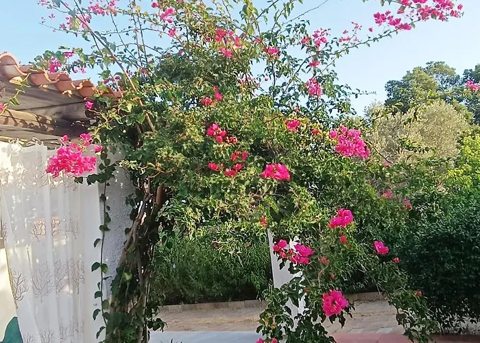 Casa Bougainvillea Villa