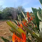Villa Casa Bougainvillea