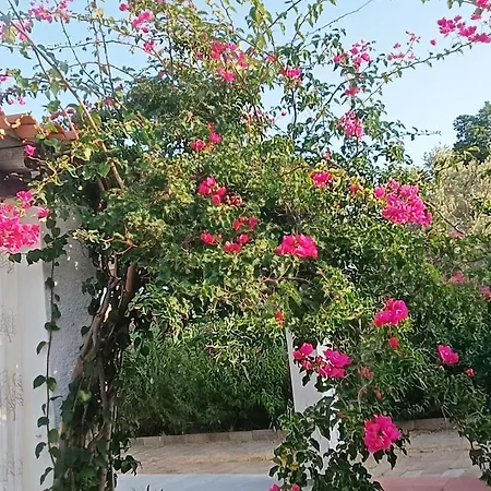Casa Bougainvillea וילה