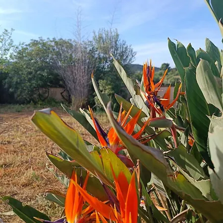 Βίλα Casa Bougainvillea