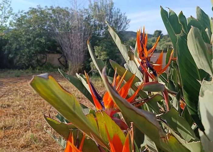 וילה Casa Bougainvillea